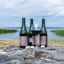 Lade das Bild in den Galerie-Viewer, Gutseiche Cuvèe Rotwein trocken 2021